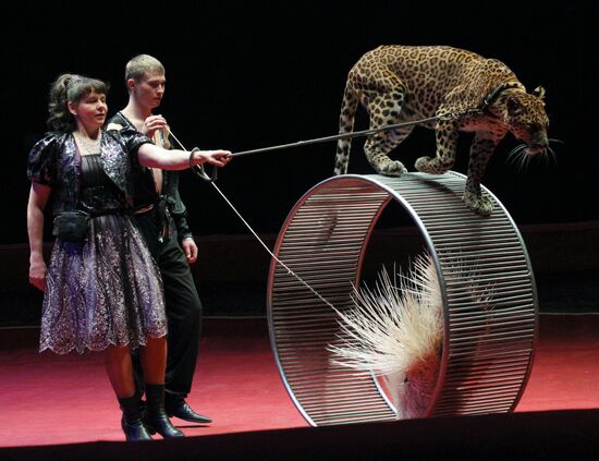 "XXI Century Soviet Circus" show in Vladivostok