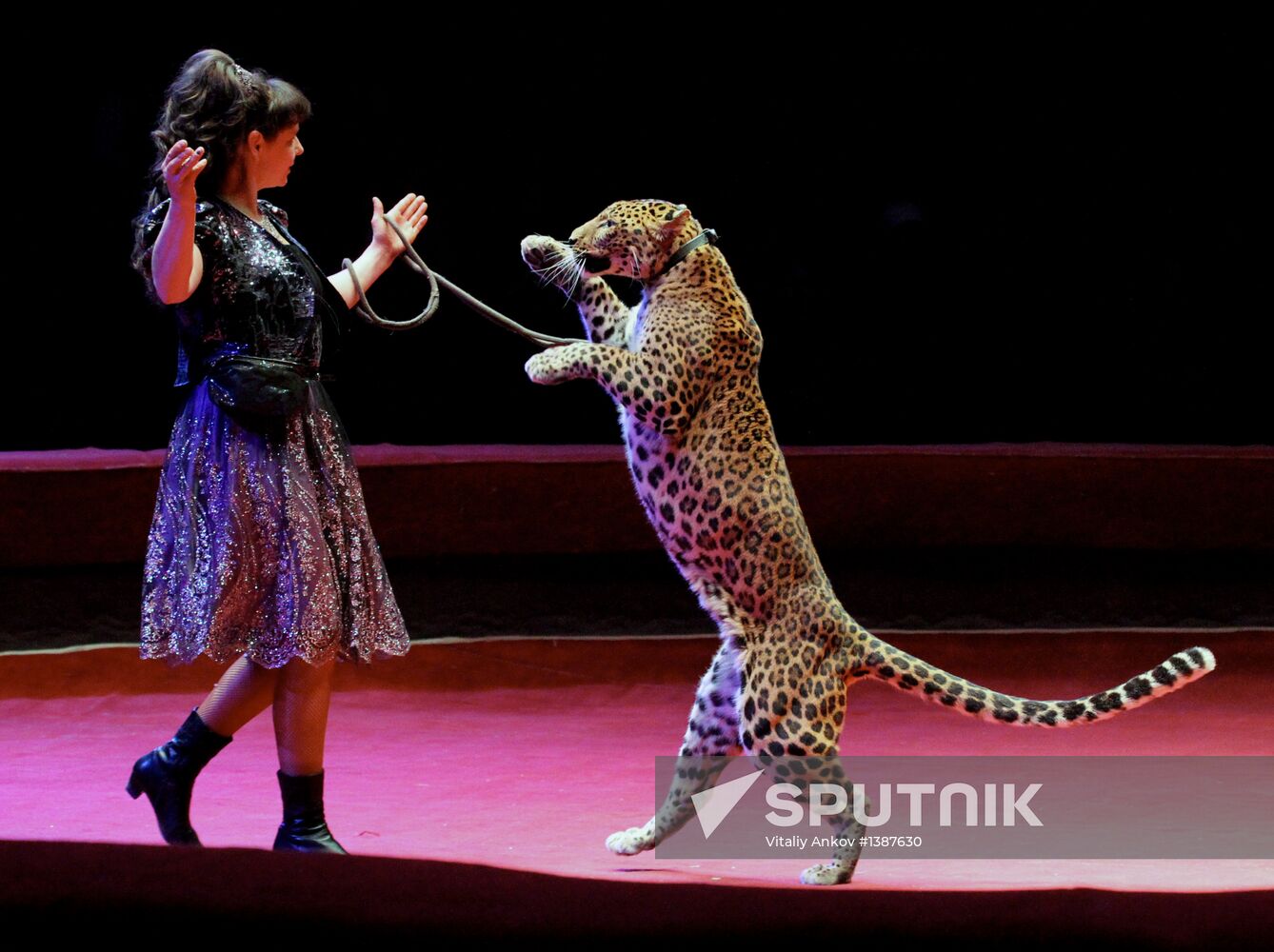 "XXI Century Soviet Circus" show in Vladivostok