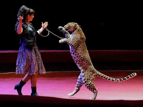 "XXI Century Soviet Circus" show in Vladivostok