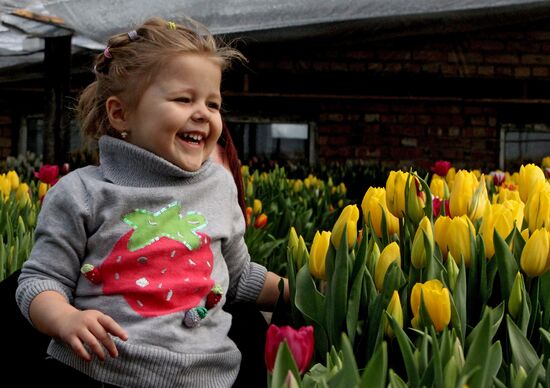 Open day in tulip greenhouse in Vladivostok