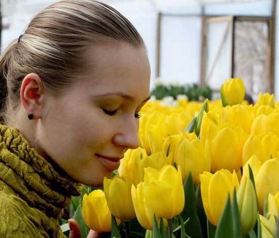 Open day in tulip greenhouse in Vladivostok