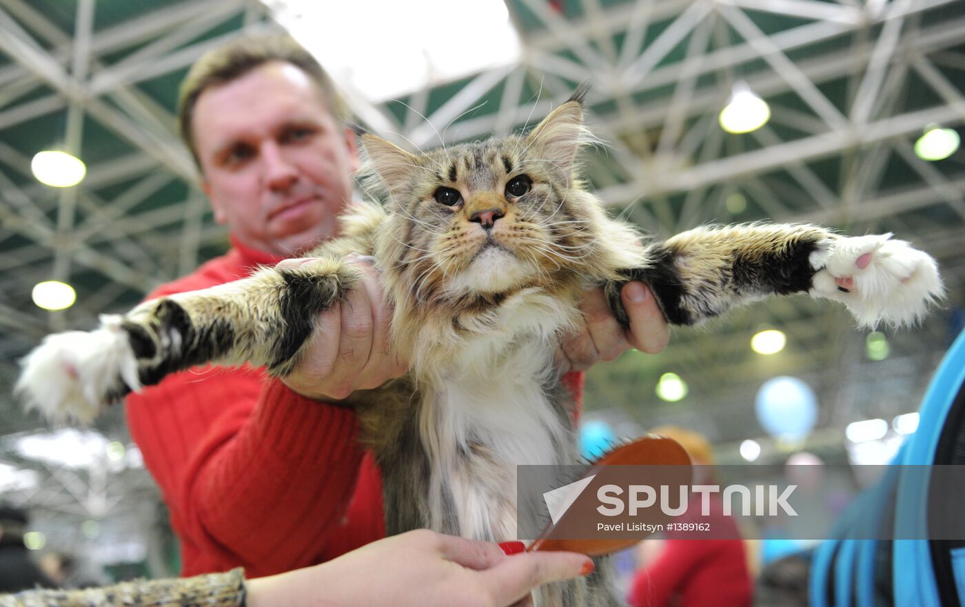 International cats show in Yekaterinburg