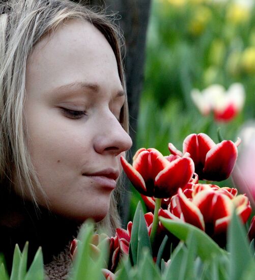 Open day in tulip greenhouse in Vladivostok