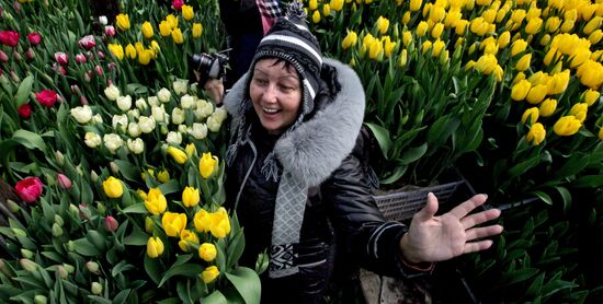 Open day in tulip greenhouse in Vladivostok