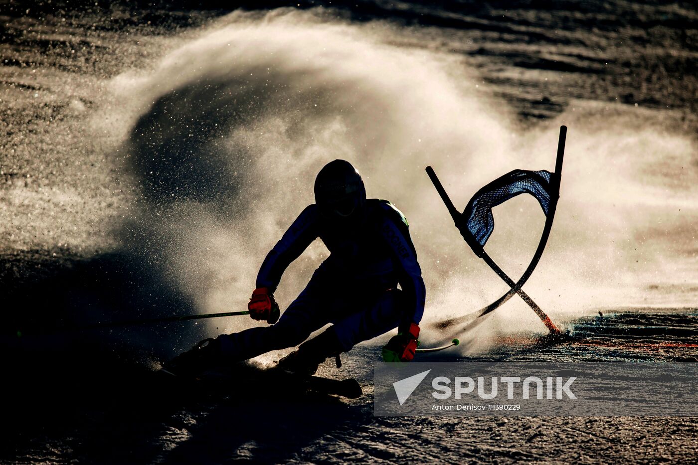 Alpine Skiing World Championships. Men's Giant Slalom