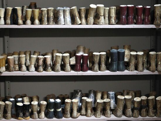Prosthetics and orthotics factory