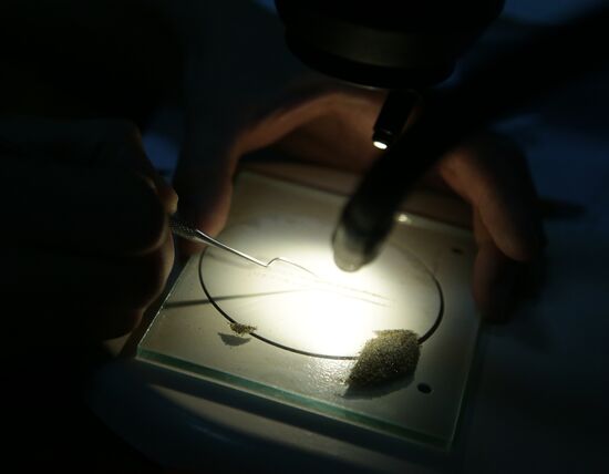 Examination of Chebarkul meteorite in Moscow laboratory