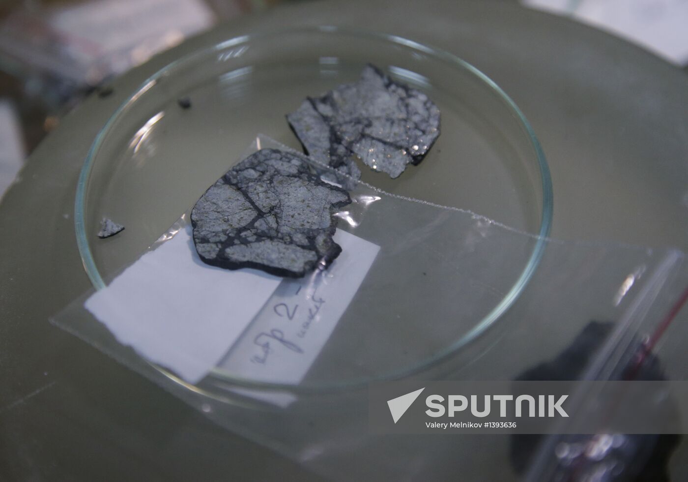 Examination of Chebarkul meteorite in Moscow laboratory