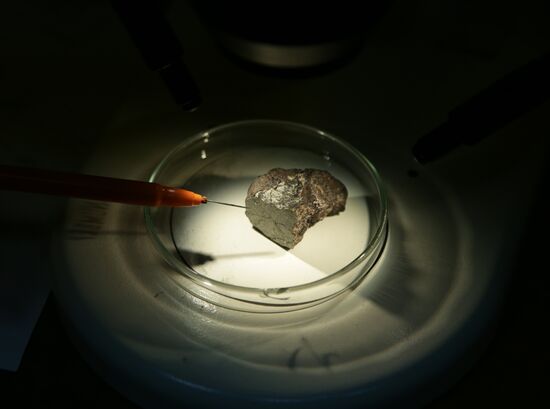 Examination of Chebarkul meteorite in Moscow laboratory