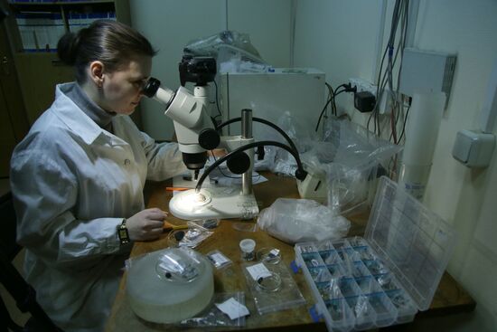 Examination of Chebarkul meteorite in Moscow laboratory