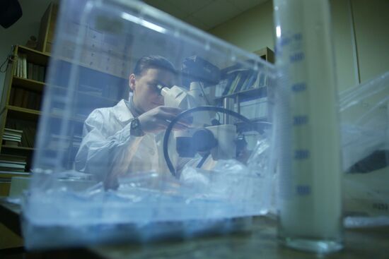 Examination of Chebarkul meteorite in Moscow laboratory