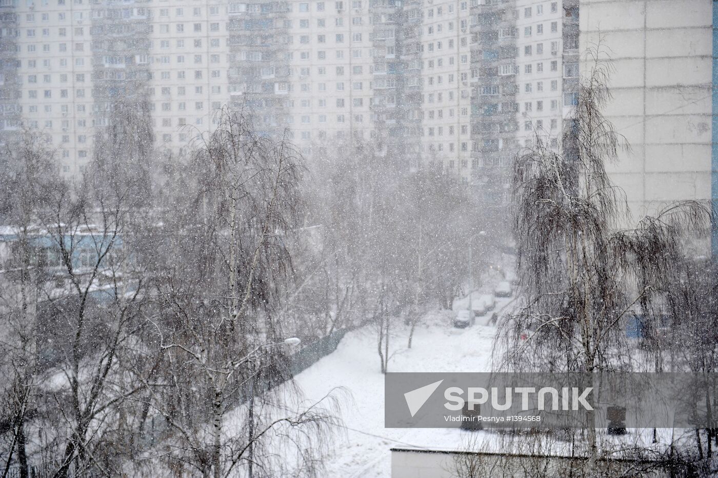 Snowfall in Moscow