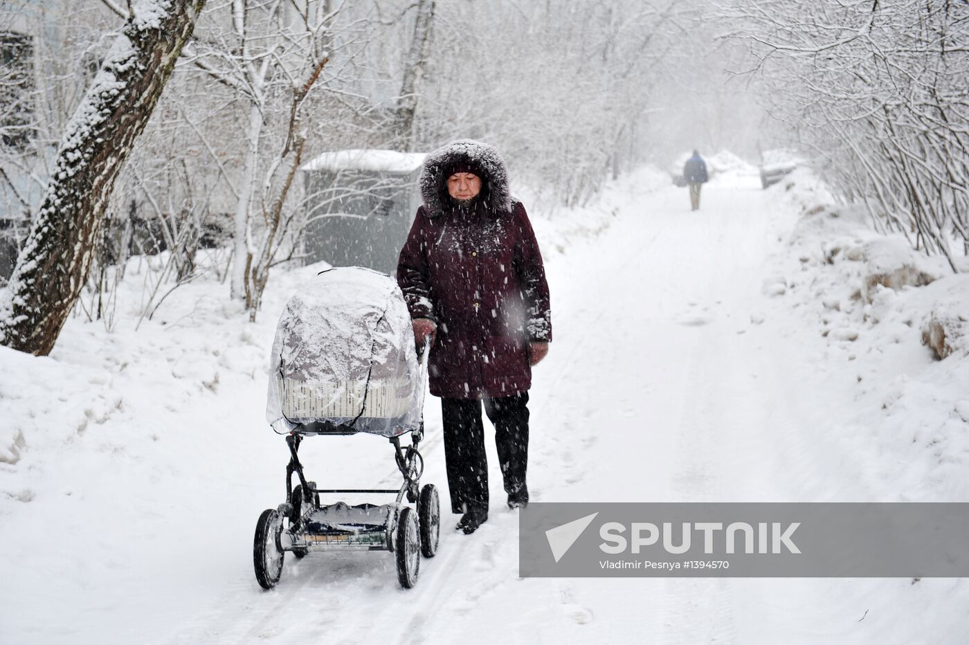 Snowfall in Moscow