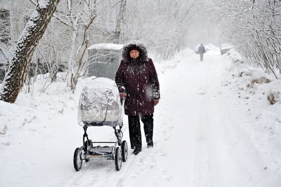 Snowfall in Moscow