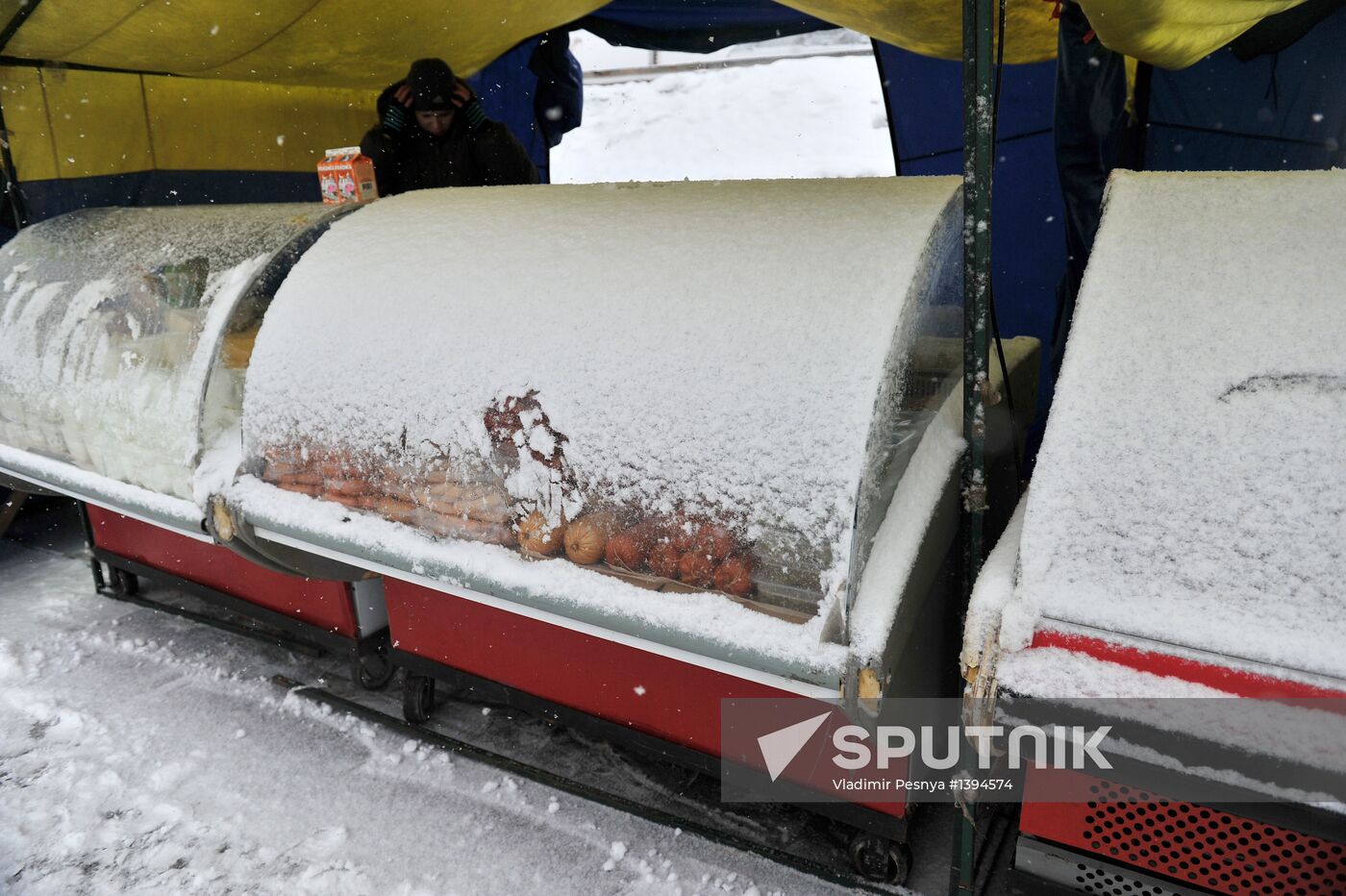 Snowfall in Moscow