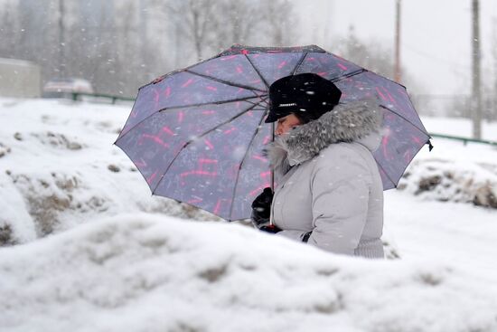 Snowfall in Moscow