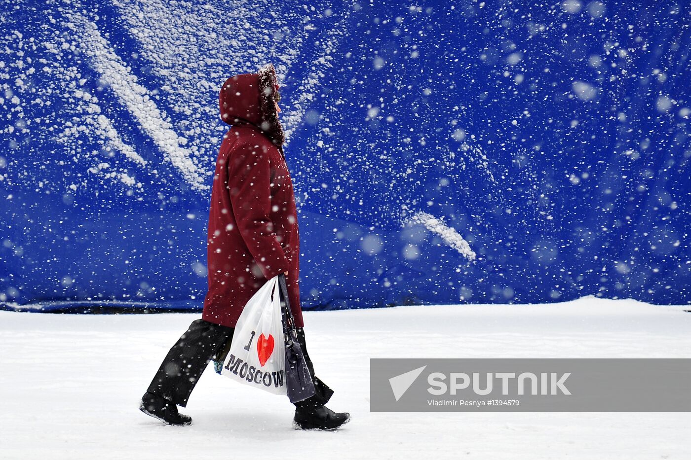 Snowfall in Moscow