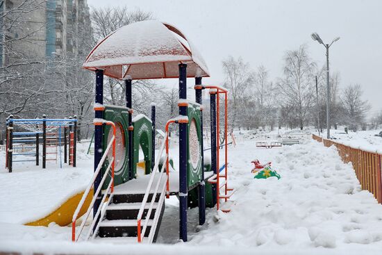 Snowfall in Moscow