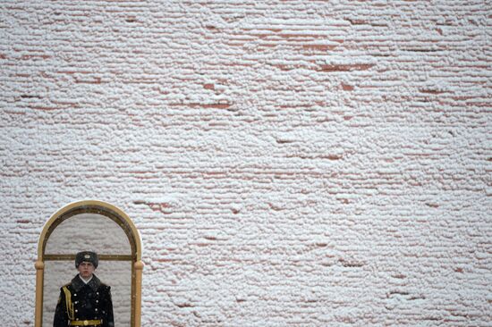 Snowfall in Moscow
