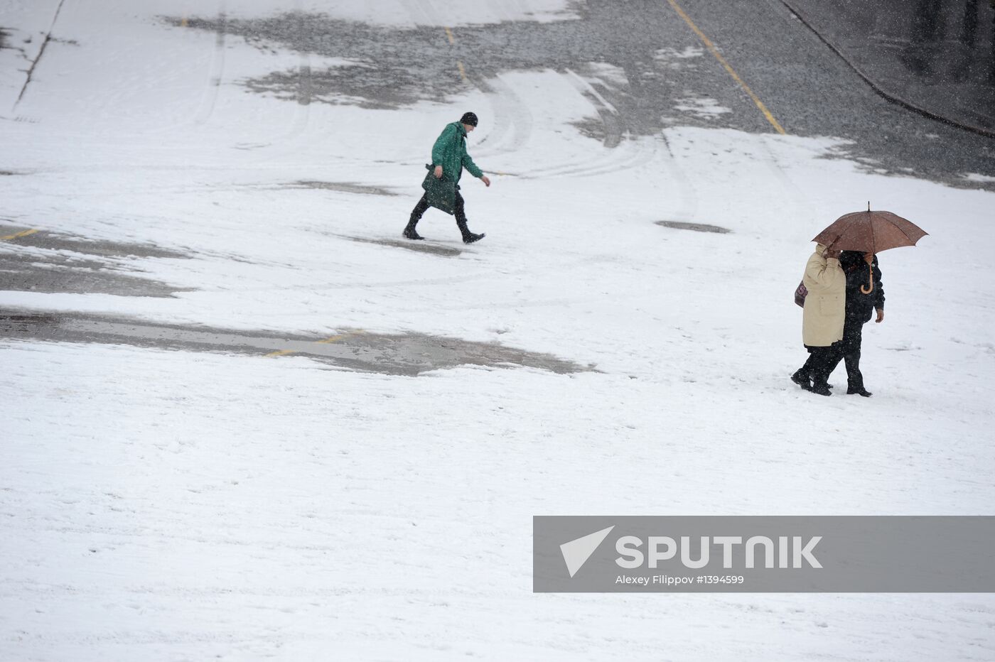 Snowfall in Moscow