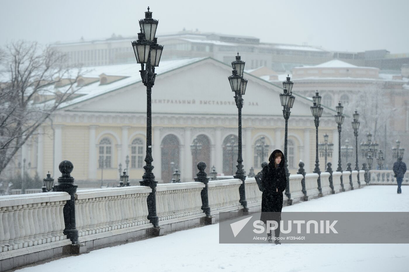 Snowfall in Moscow