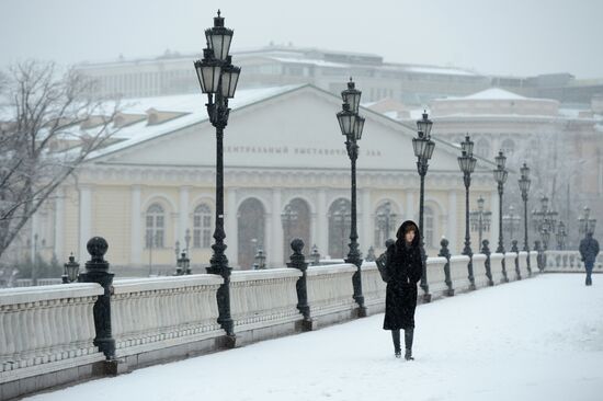 Snowfall in Moscow