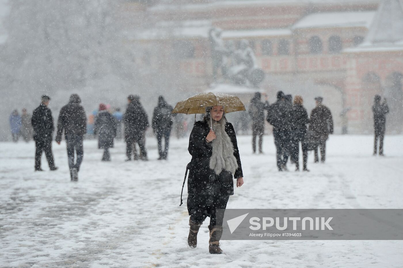 Snowfall in Moscow