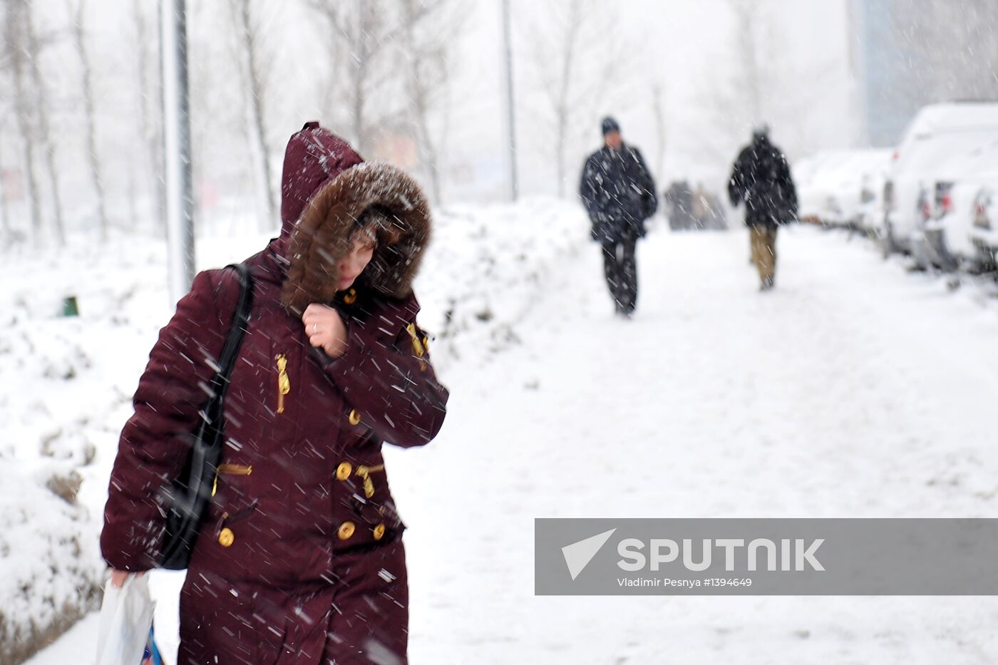 Snowfall in Moscow