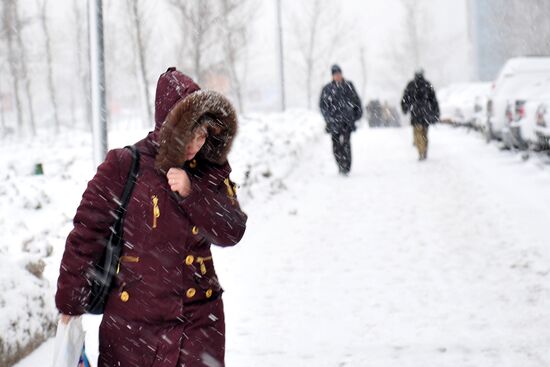 Snowfall in Moscow