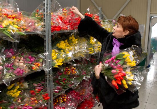 Growing flowers in greenhouse facility in Tomsk
