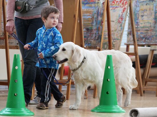 Dog assisted therapy in Moscow