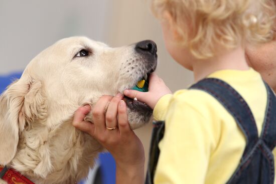 Dog assisted therapy in Moscow