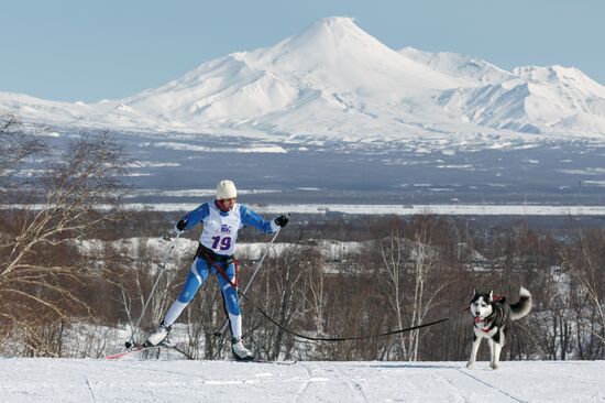 Yelizovo Sprint sled dog race