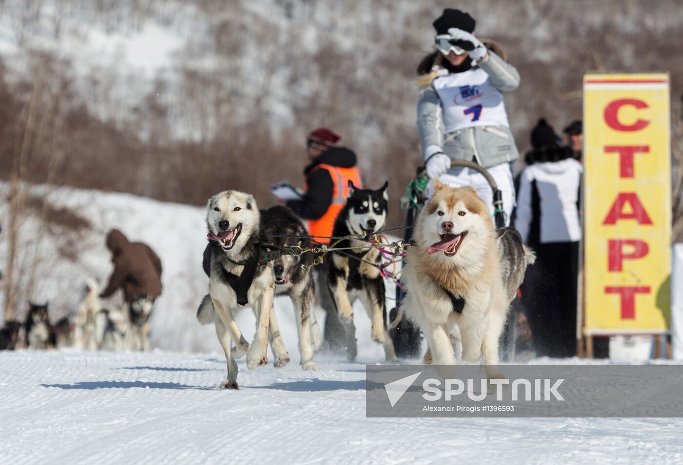 Yelizovo Sprint sled dog race