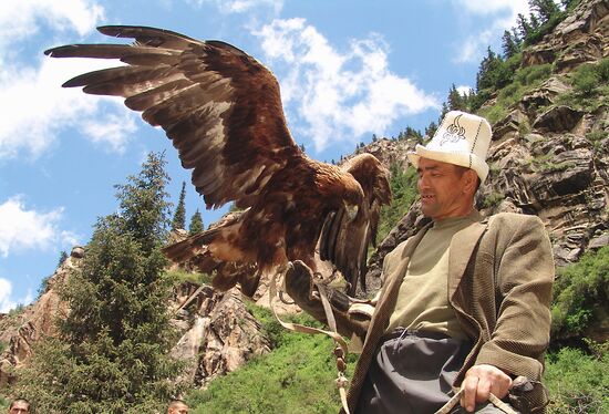 FALCONRY