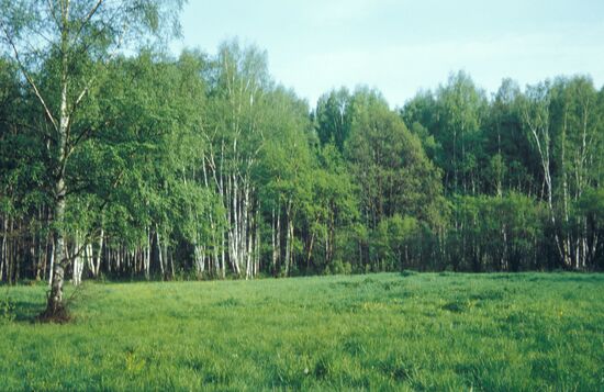 MOSCOW ENVIRONS LANDSCAPE SUMMER