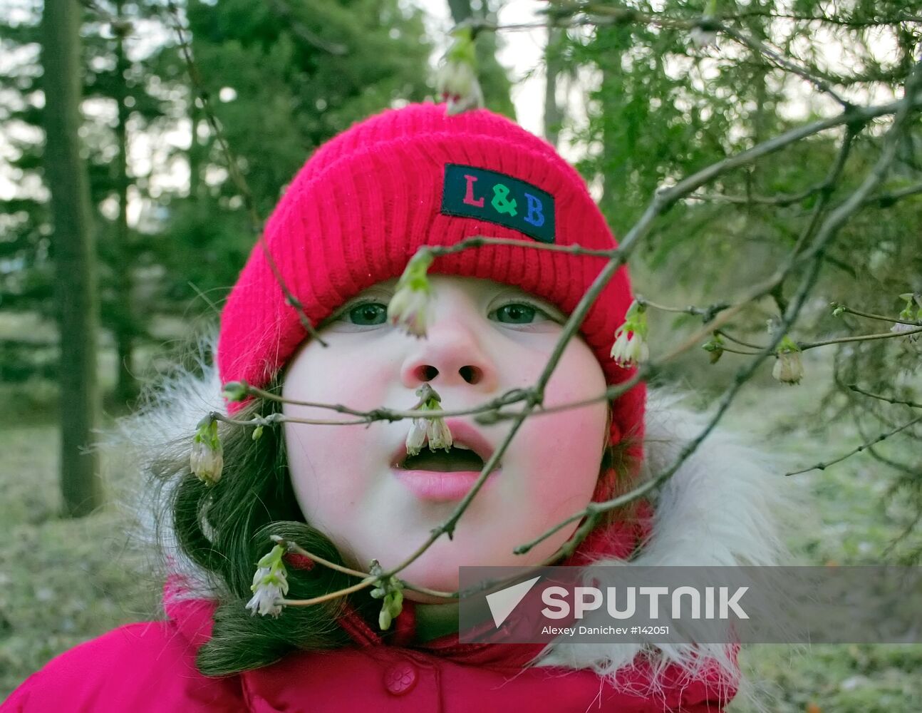 MILD WINTER
