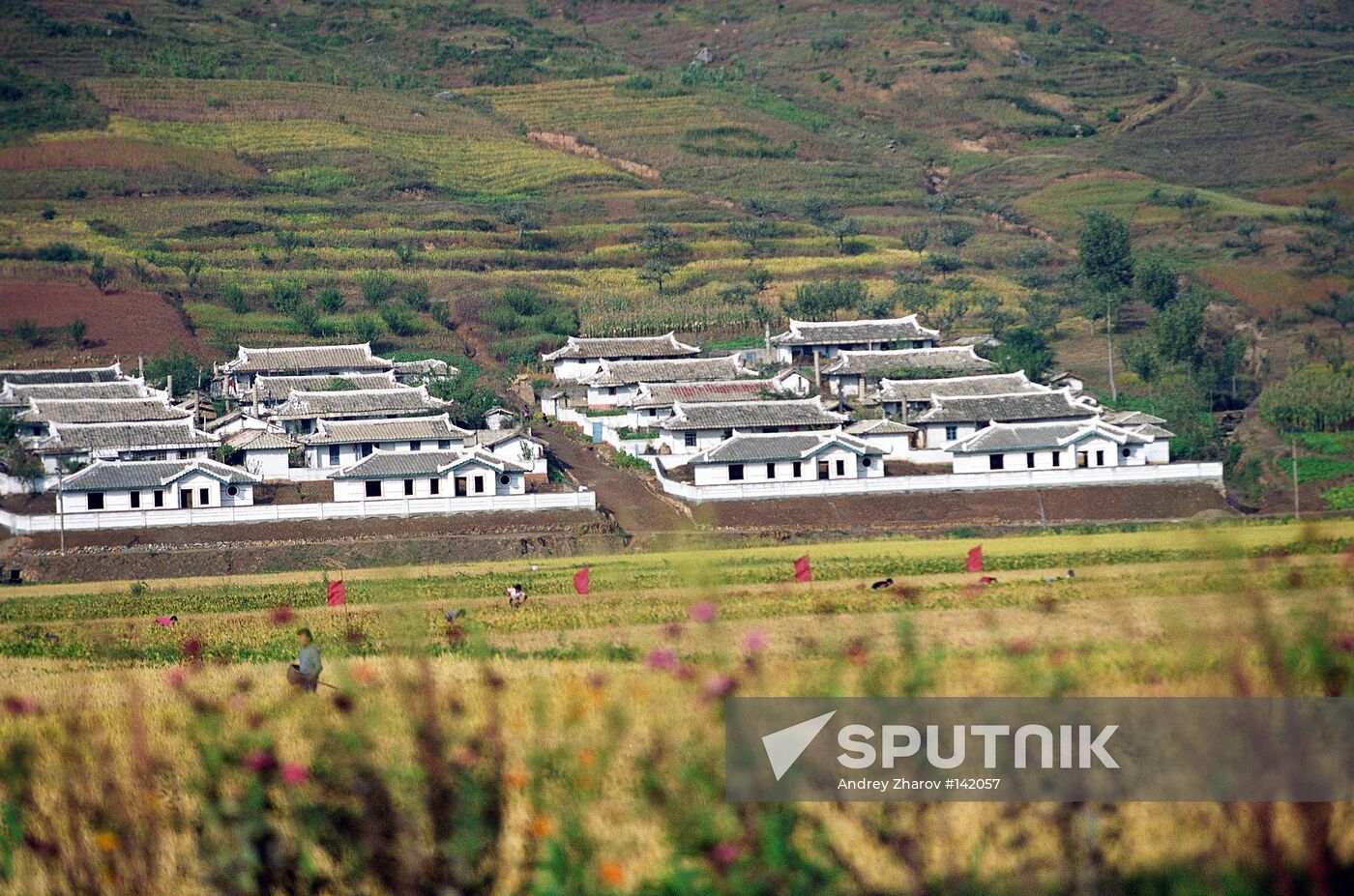 DPRK