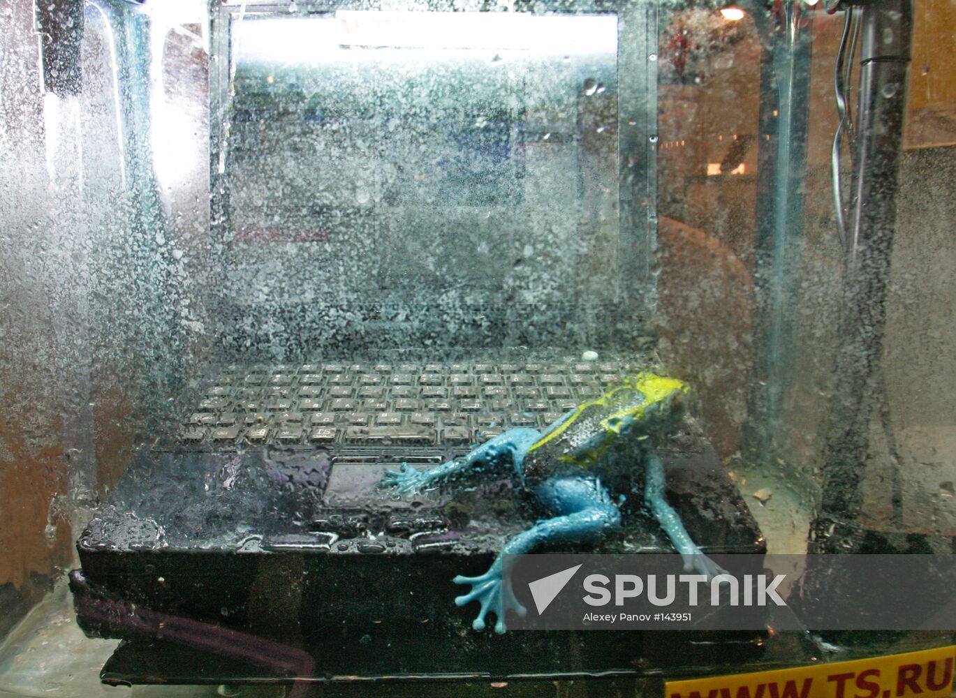 SECURITY TECHNOLOGIES