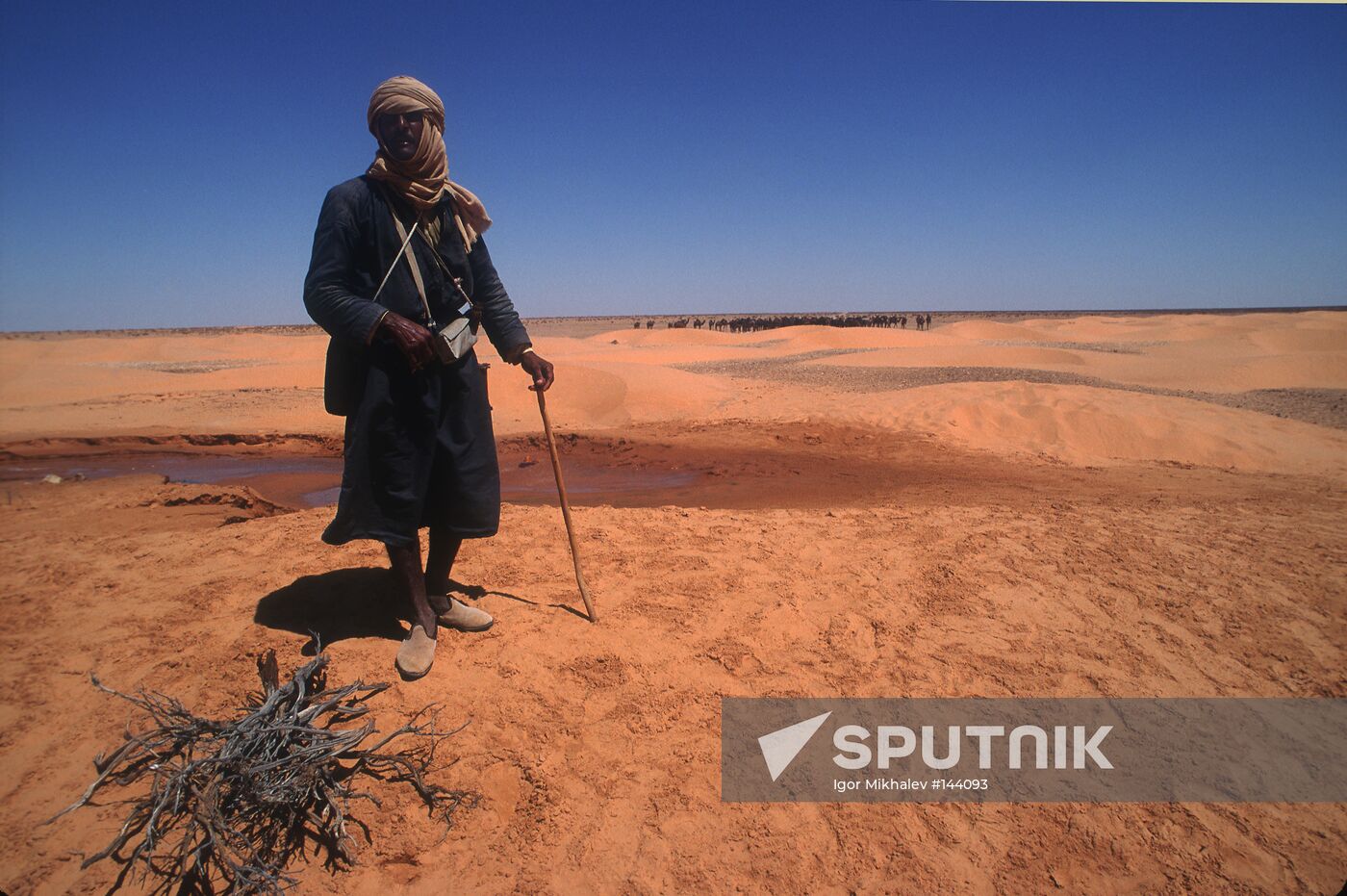 DESERT SAKHARA