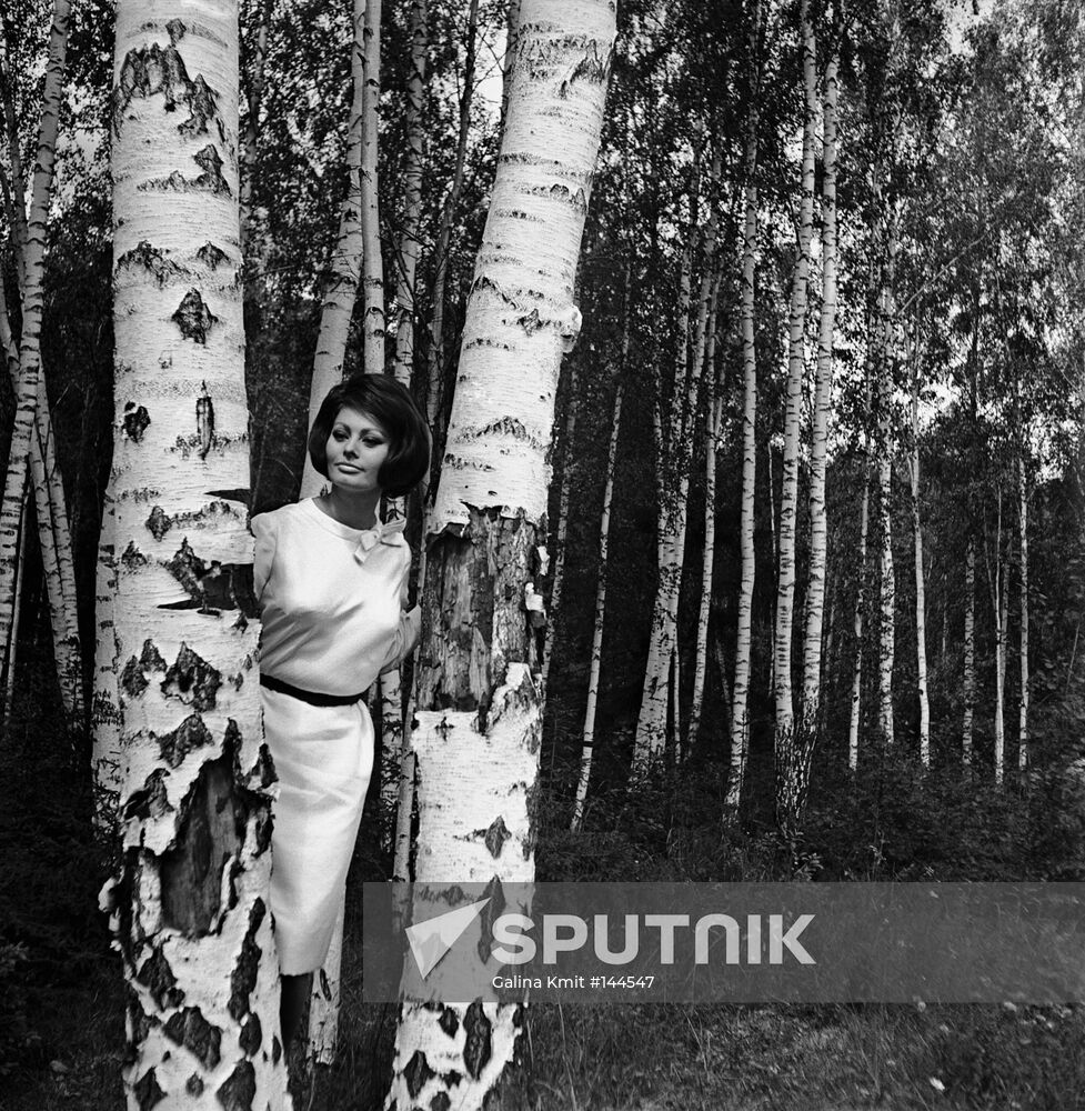 SOPHIA LOREN FILM FESTIVAL BIRCH WOOD