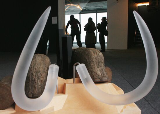 2ND MOSCOW CONTEMPORARY ART BIENNALE