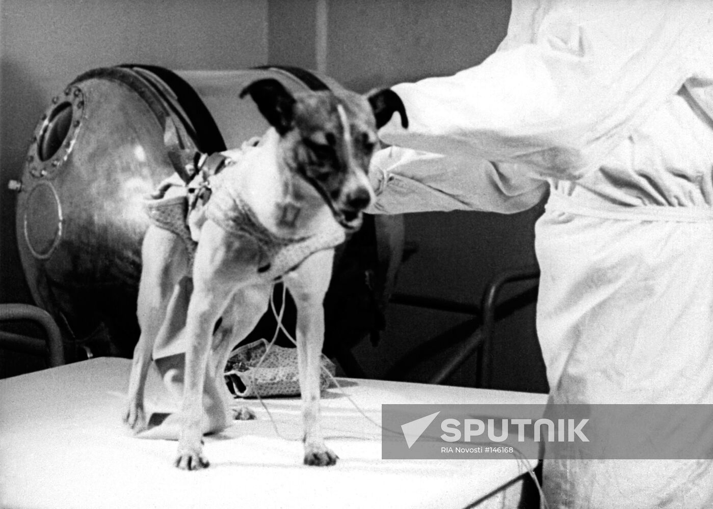LAIKA DOG SPACECRAFT SPUTNIK-2