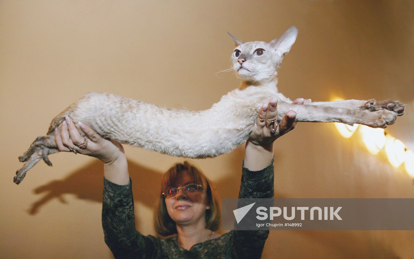 CAT SHOW