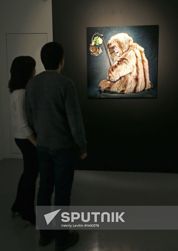 Dmitry Zhuravlev's and Danila Polyakov's project NATURA