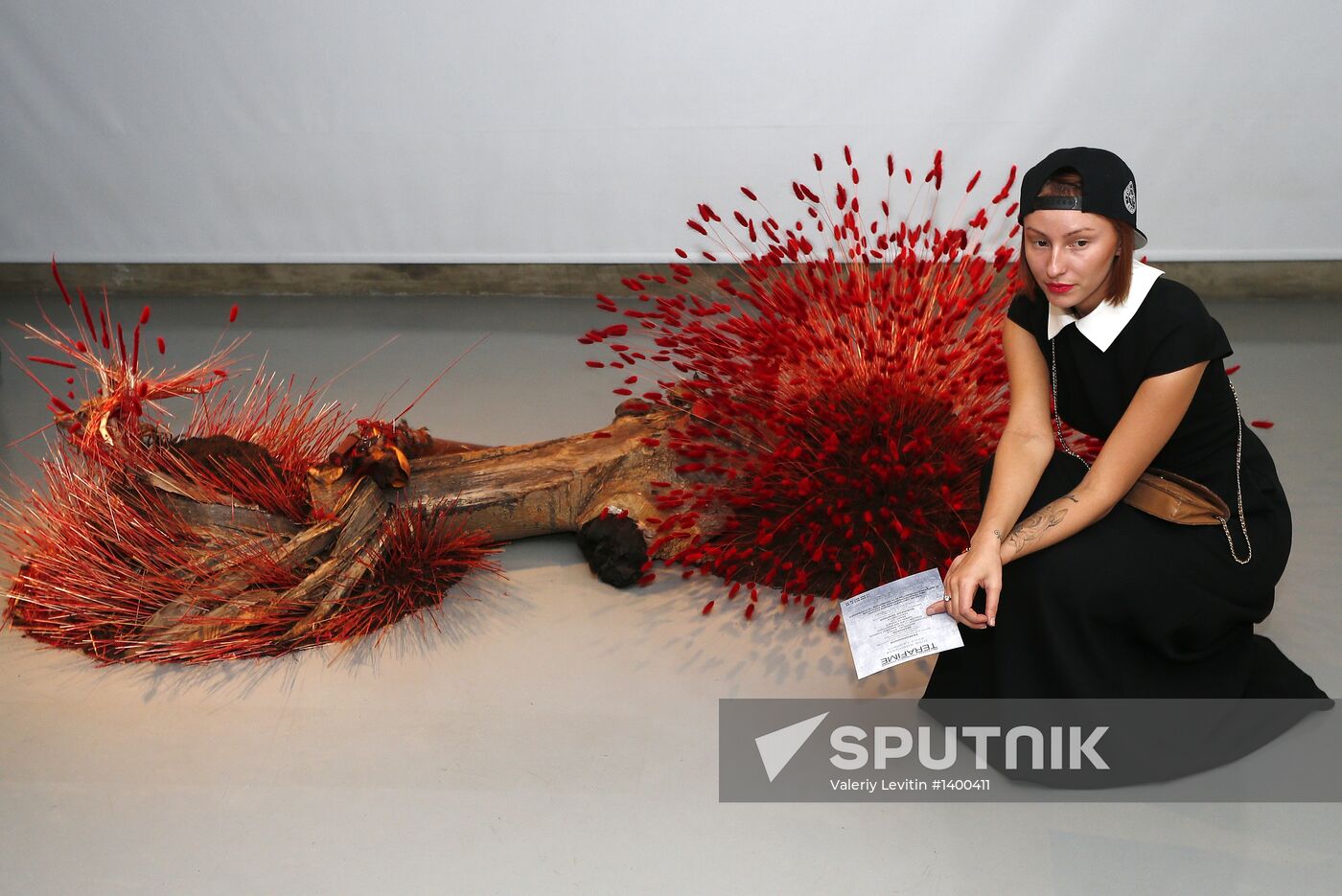 Dmitry Zhuravlev's and Danila Polyakov's project NATURA