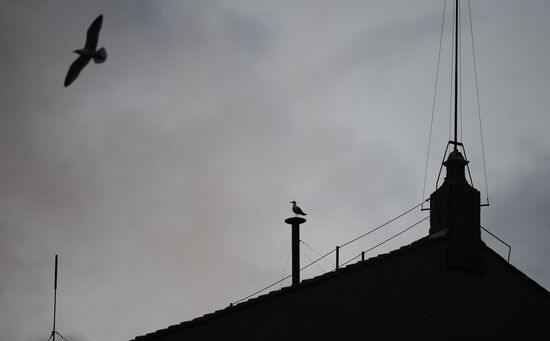 Vatican in anticipation of new Pope
