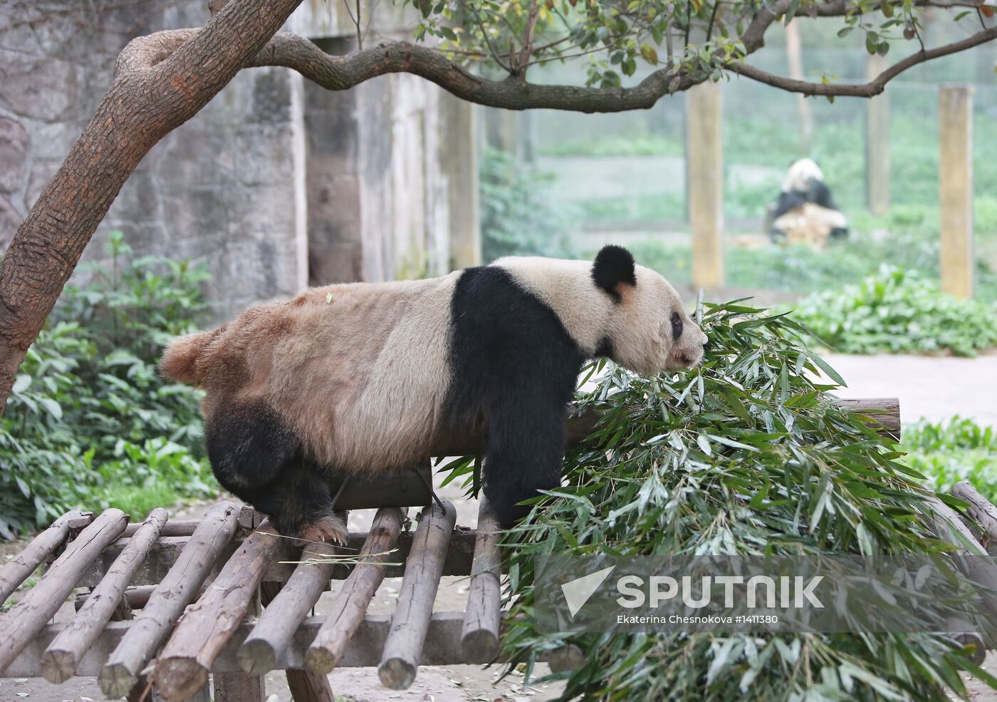 World Countries: China