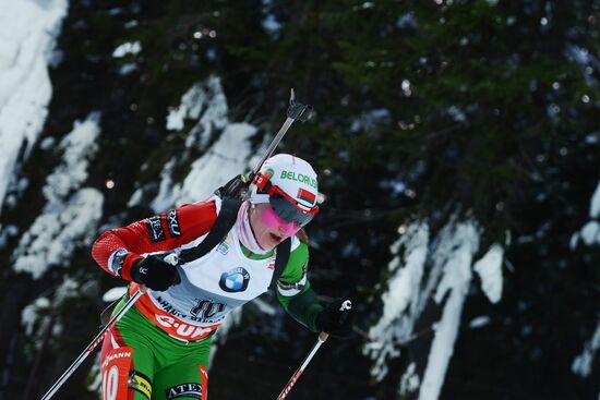 Biathlon. 9th stage of World Cup. Women's sprint