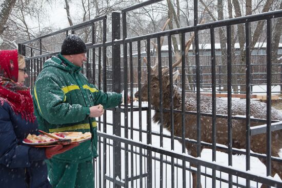 Maslenitsa scarecrow given to bear at Yekaterinburg Zoo